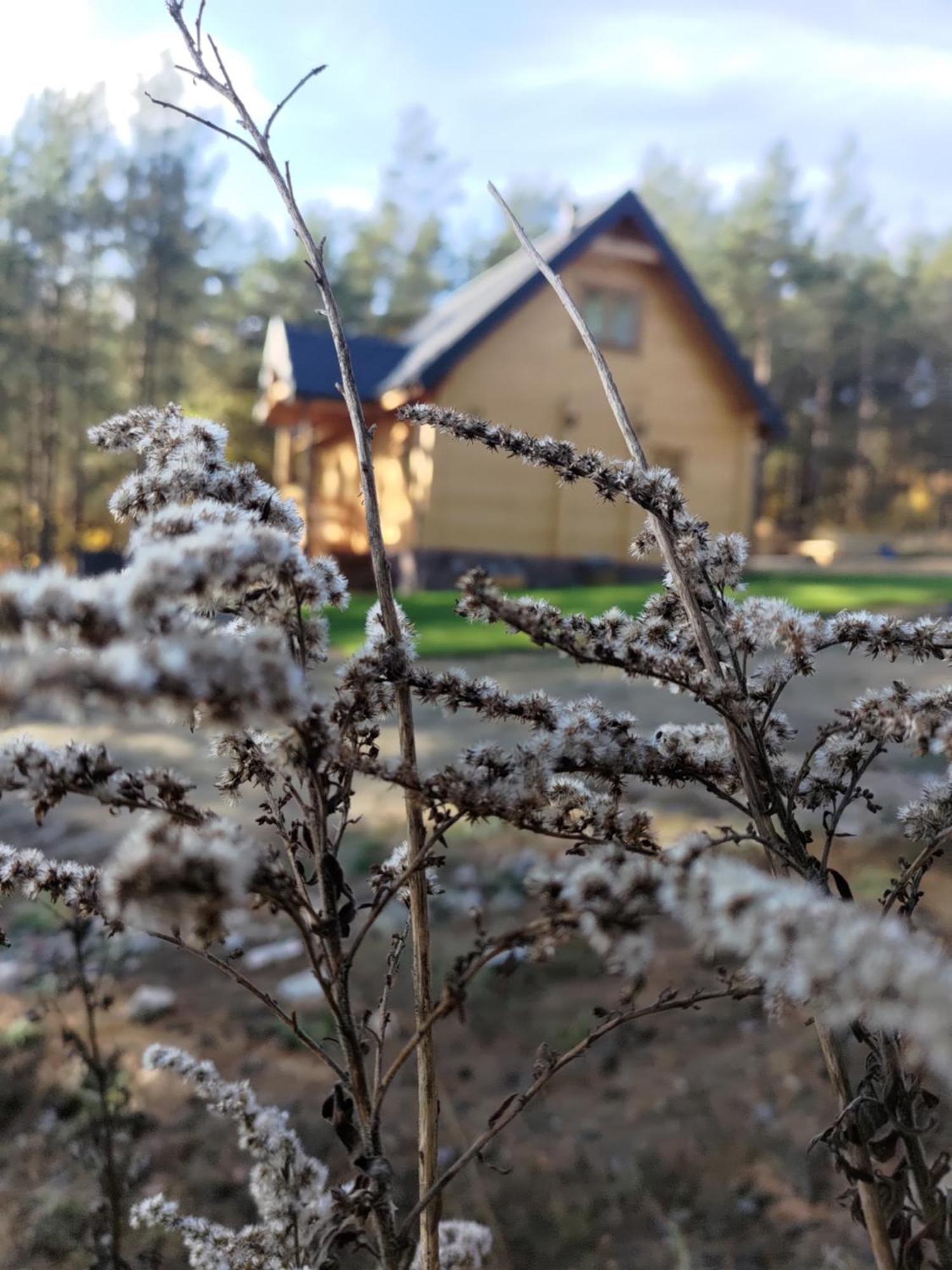 Mazurska Bania U Pana Szeptuna - Drewniany Dom Na Skraju Lasu Holiday home Lidzbark Welski